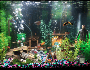 How To Sterilize Fish Tank After Fish Died?