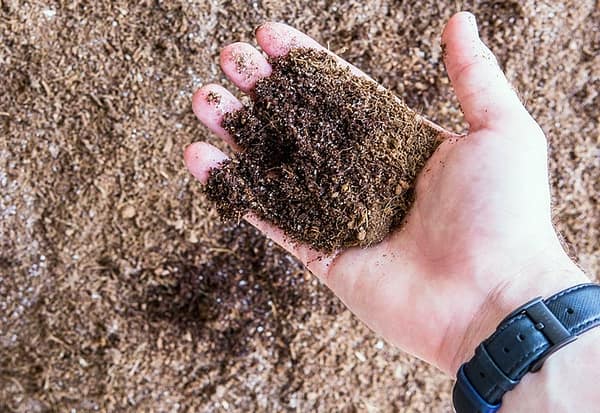 How To Sterilize Coco Coir? - Complete Guide