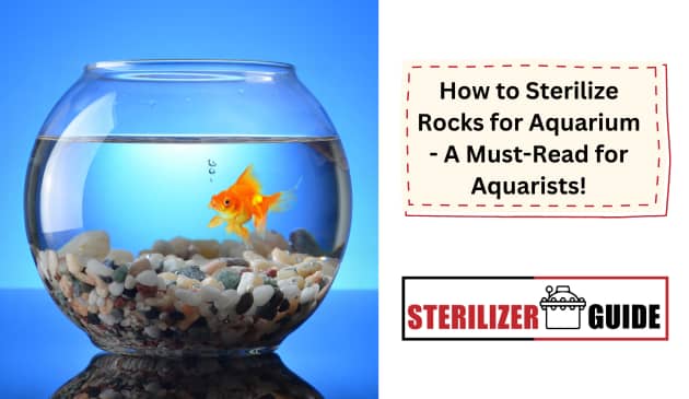 How to Sterilize Rocks for Aquarium - A Must-Read for Aquarists!