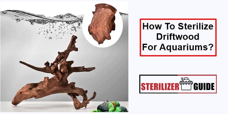 How to sterilize driftwood for aquariums