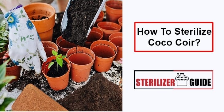 How To Sterilize Coco Coir?