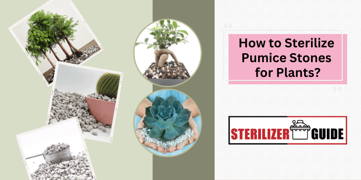 How to Sterilize Pumice Stones for Plants