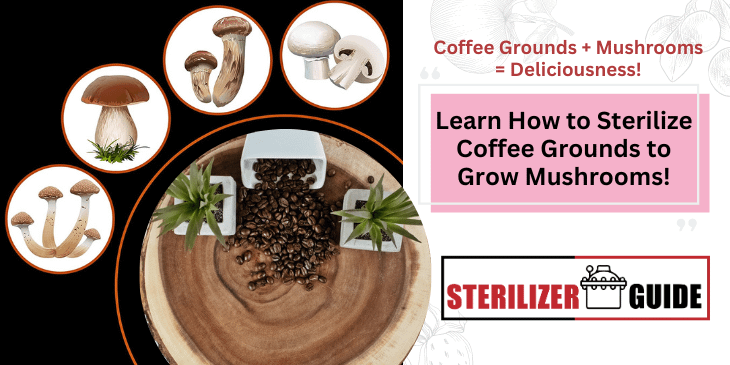 How to Sterilize Coffee Grounds to Grow Mushrooms!