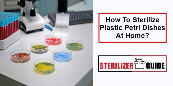 How To Sterilize Plastic Petri Dishes At Home?