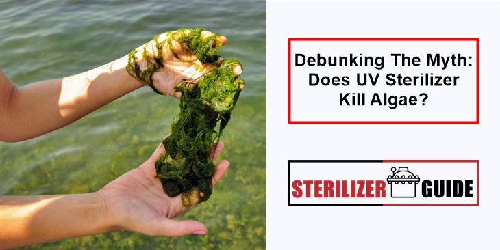 Debunking The Myth: Does UV Sterilizer Kill Algae?
