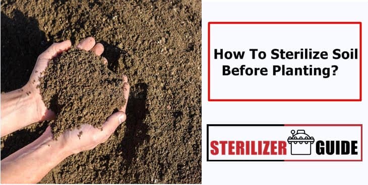 How To Sterilize Soil?