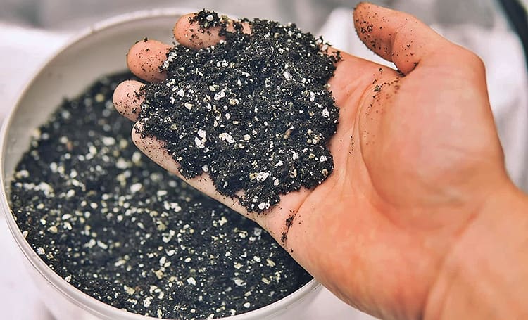 How is perlite used and why it is so important