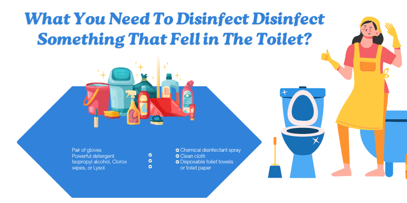 What You Need To Disinfect Disinfect Something That Fell in The Toilet?